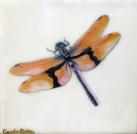 Prints available, original ***SOLD*** Carrie Goller - Maxine, Encaustic/Mixed Media - 8x8