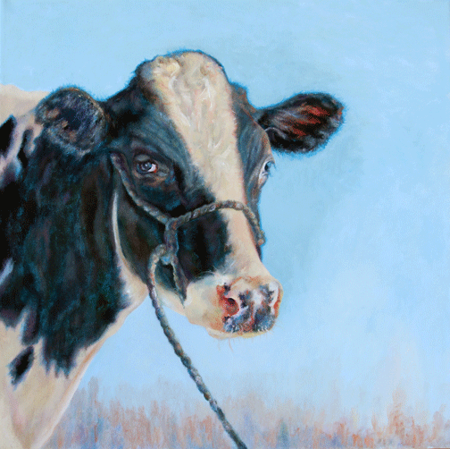 Prints available, original ***SOLD*** Carrie Goller - Milkdud - Oil 20x20