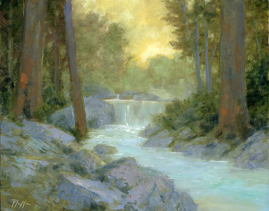 TIM PFEIFFER - Morning in the Forest, oil on Panel, 8x10 (framed)