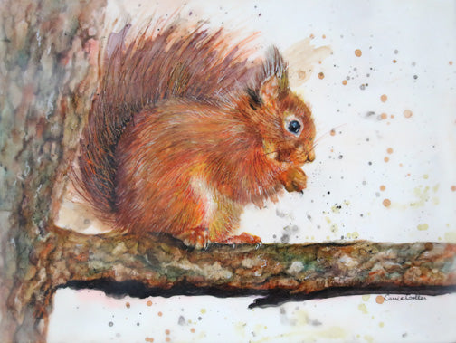 Prints available, original ***SOLD*** Carrie Goller - Nutsie, Encaustic/Watercolor - 9x12