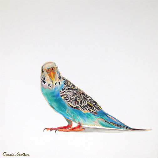 Prints available, original ***SOLD*** Carrie Goller - Partly Clark, Oil 12x12 - AVAILABLE AT BAINBRIDGE ISLAND MUSEUM OF ART STORE