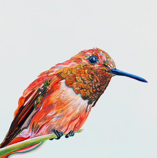 Prints available, original ***SOLD*** Ramone - Oil 16x16 (previously part of Bainbridge Island Museum of Art solo summer exhibit 2018)