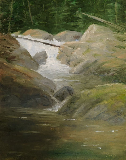 TIM PFEIFFER - Sol Duc River, oil on panel 10x8 (framed)