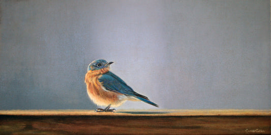 Carrie Goller - Spy, oil 12x24