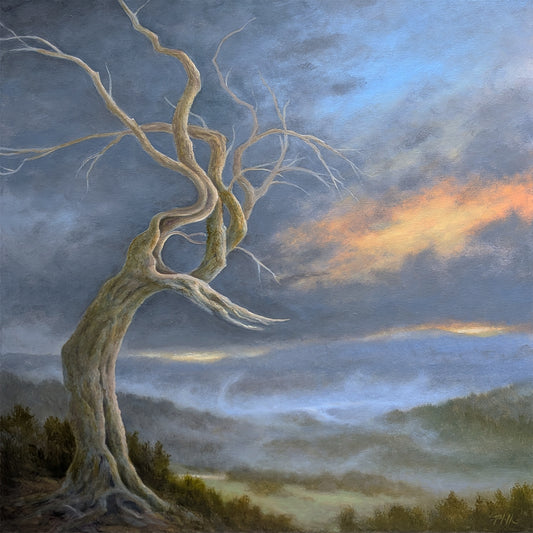 TIM PFEIFFER - Test of Time, oil on canvas, framed, 24"x24"