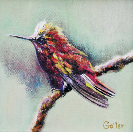 Prints available, original ***SOLD*** CARRIE GOLLER - Tropique  oil, 5x5