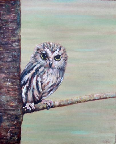 Prints available, original ***SOLD*** CARRIE GOLLER - Tyrone, oil 14x11