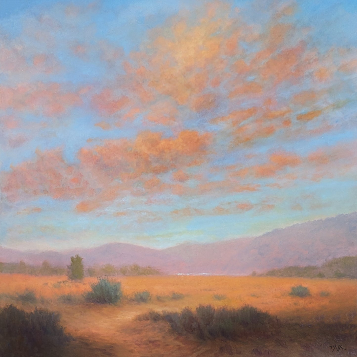 TIM PFEIFFER - Warm Thoughts, oil on canvas, 24x24 (framed)
