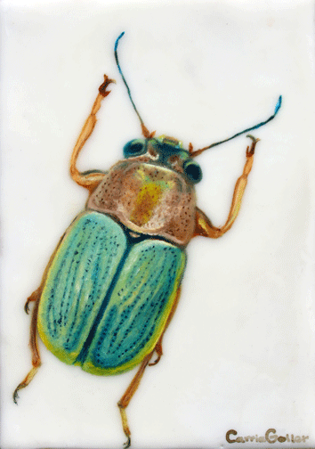 Prints available, original ***SOLD*** Carrie Goller - Yahooie! Encaustic/Mixed Media 7x5
