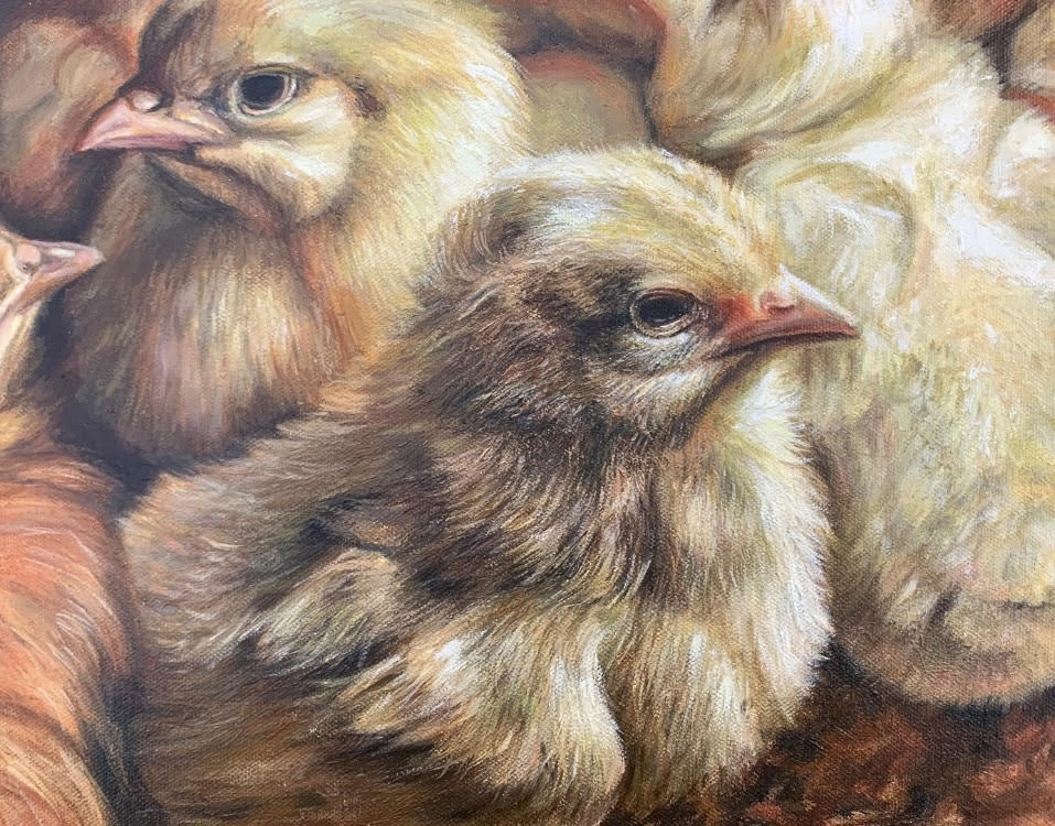Jody Yashenko - Tweets, Oil on canvas (framed), 11" x 14"